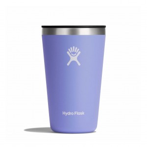 Hydro Flask 16 oz All Around™ Tumbler Lupine | 8526079-LW