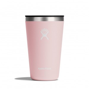 Hydro Flask 16 oz All Around™ Tumbler Trillium | 6102758-TG