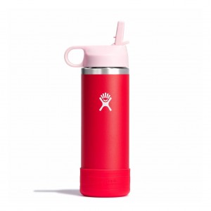 Hydro Flask 18 oz Kids Wide Mouth w/ Straw Cap Goji | 8069357-OE