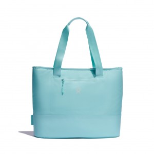 Hydro Flask 20 L Insulated Tote Alpine | 1807364-AQ