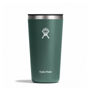 Hydro Flask 20 oz All Around™ Tumbler Fir | 4295783-ZT