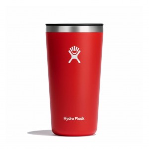 Hydro Flask 20 oz All Around™ Tumbler Goji | 3518097-VI