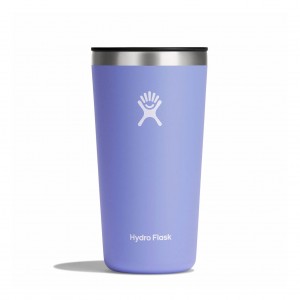Hydro Flask 20 oz All Around™ Tumbler Lupine | 9376405-UY