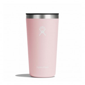 Hydro Flask 20 oz All Around™ Tumbler Trillium | 2048619-EA