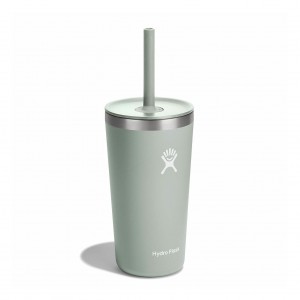 Hydro Flask 20 oz All Around™ Tumbler with Straw Lid Agave | 5730648-CO