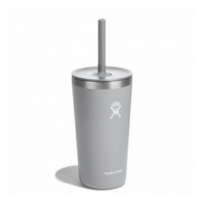 Hydro Flask 20 oz All Around™ Tumbler with Straw Lid Birch | 7391465-OW