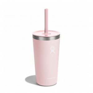 Hydro Flask 20 oz All Around™ Tumbler with Straw Lid Trillium | 1925630-HM