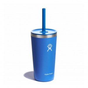 Hydro Flask 20 oz All Around™ Tumbler with Straw Lid Cascade | 0423891-MU