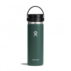 Hydro Flask 20 oz Coffee with Flex Sip™ Lid Fir | 8431095-RA