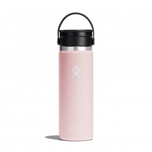 Hydro Flask 20 oz Coffee with Flex Sip™ Lid Trillium | 0942785-YG