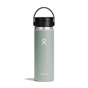 Hydro Flask 20 oz Coffee with Flex Sip™ Lid Agave | 5094362-YS