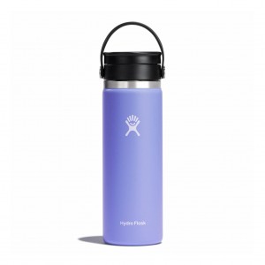 Hydro Flask 20 oz Coffee with Flex Sip™ Lid Lupine | 1289703-FT
