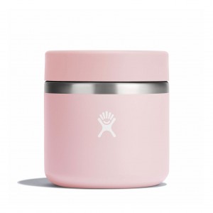 Hydro Flask 20 oz Insulated Food Jar Trillium | 2510634-CW