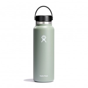 Hydro Flask 20 oz Weite Mouth Agave | 7618493-TH