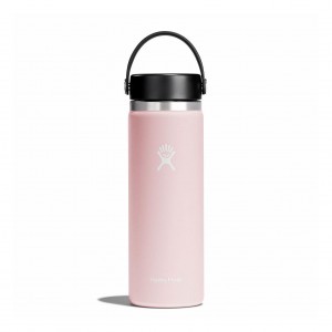 Hydro Flask 20 oz Weite Mouth Trillium | 5386412-KW