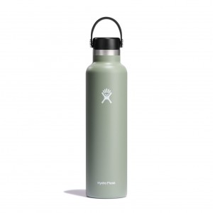 Hydro Flask 24 oz Standard Mouth Agave | 1504279-EA