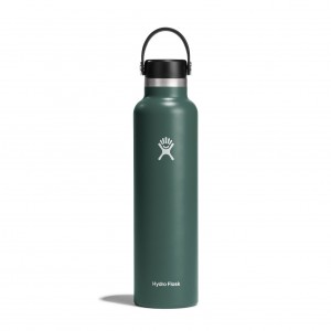 Hydro Flask 24 oz Standard Mouth Fir | 1983520-FA