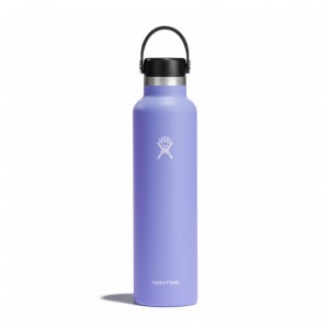 Hydro Flask 24 oz Standard Mouth Lupine | 0759346-OV