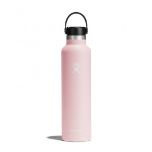 Hydro Flask 24 oz Standard Mouth Trillium | 5984376-NR