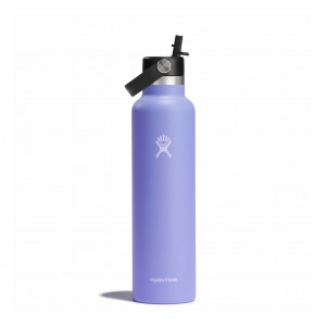 Hydro Flask 24 oz Standard Mouth with Flex Straw Cap Lupine | 4950872-DS