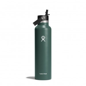 Hydro Flask 24 oz Standard Mouth with Flex Straw Cap Fir | 8065327-IQ