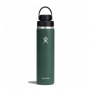 Hydro Flask 24 oz Wide Mouth with Flex Chug Cap Fir | 5723980-WE