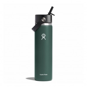 Hydro Flask 24 oz Wide Mouth with Flex Straw Cap Fir | 2630859-UW
