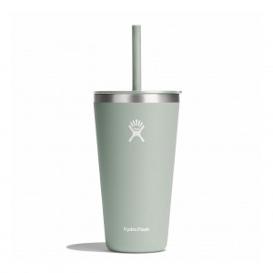 Hydro Flask 28 oz All Around™ Tumbler with Straw Lid Agave | 7428591-WO