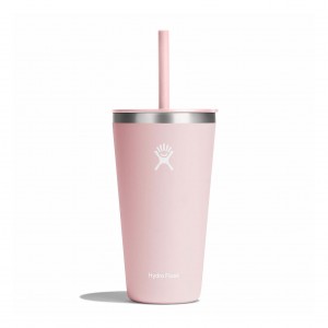 Hydro Flask 28 oz All Around™ Tumbler with Straw Lid Trillium | 2075361-FU