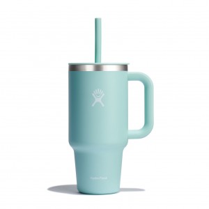 Hydro Flask 32 oz All Around™ Travel Tumbler Dew | 8314970-WV