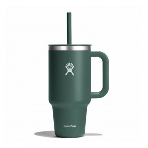 Hydro Flask 32 oz All Around™ Travel Tumbler Fir | 1839620-JB