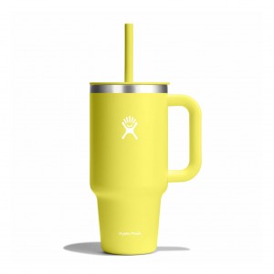 Hydro Flask 32 oz All Around™ Travel Tumbler Cactus | 6801725-IO