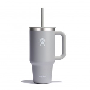 Hydro Flask 32 oz All Around™ Travel Tumbler Birch | 2497316-HS