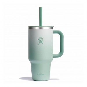 Hydro Flask 32 oz All Around™ Travel Tumbler Matcha Ombre | 1079243-FP