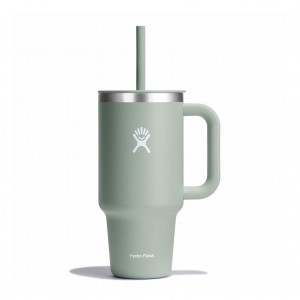 Hydro Flask 32 oz All Around™ Travel Tumbler Agave | 2301849-EU