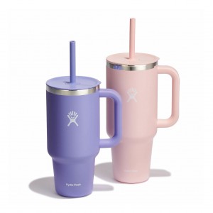 Hydro Flask 32oz/42oz Hydration Handled™ Bundle | 0498371-AO