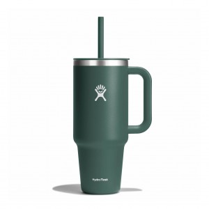 Hydro Flask 40 oz All Around™ Travel Tumbler Fir | 8239406-KJ