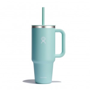 Hydro Flask 40 oz All Around™ Travel Tumbler Dew | 2065781-FI