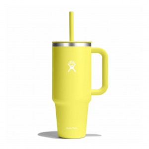 Hydro Flask 40 oz All Around™ Travel Tumbler Cactus | 1698054-IS