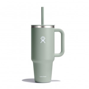 Hydro Flask 40 oz All Around™ Travel Tumbler Agave | 8249075-VY
