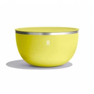 Hydro Flask 5 qt Serving Bowl with Lid Cactus | 6402859-AK