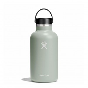 Hydro Flask 64 oz Wide Mouth Agave | 1085634-KV