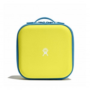 Hydro Flask Kids Insulated Lunch Box Cactus | 5468973-GF