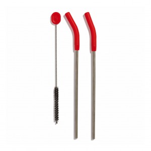Hydro Flask Stainless Steel Straw Set Goji | 9620573-SM