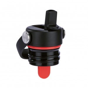 Hydro Flask Standard Mouth Flex Straw Cap Schwarz | 3927415-WM